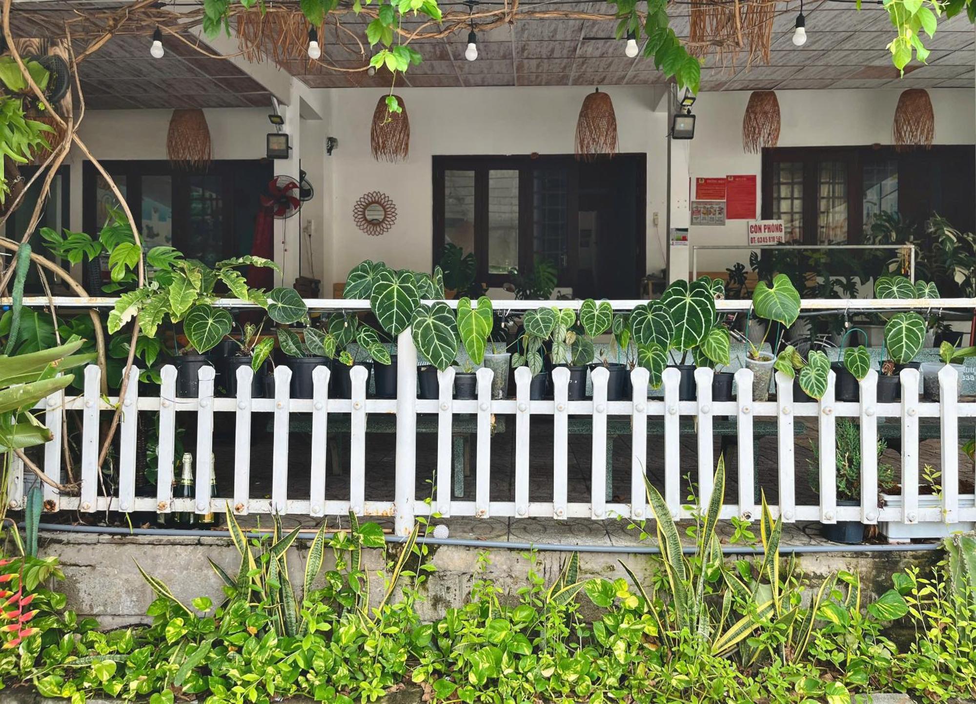 N'T Homestay Mũi Né Buitenkant foto
